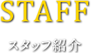 スタッフ紹介