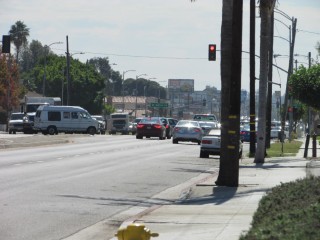 IMG_0012